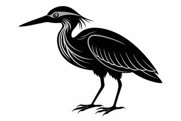 Fototapeta premium american bittern sihouette black vector