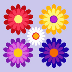 A vibrant vector illustration showcases a seamless floral pattern with a colorful set of pink daisy flowers, perfect for spring and summer decoration