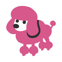 Poodle, clipart, isolated on white background