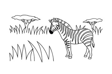 Zebra In African Savannah Line Art For Coloring Book Illustration