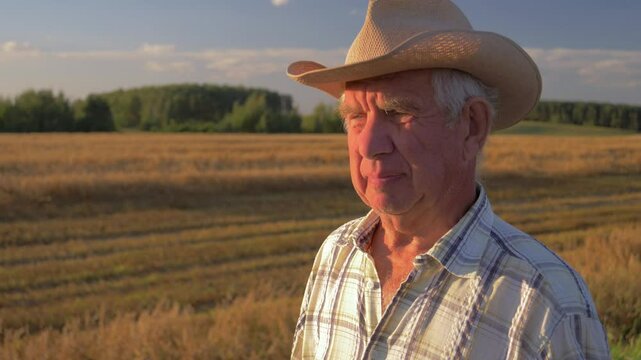 Elderly farmer wearing cowboy hat walking pensively amidst ripe wheat field. Old man walking outdoor. Golden hour illuminates serene agricultural landscape. Checking grain harvest before harvesting