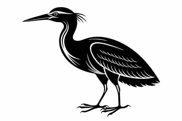 Fototapeta premium american bittern sihouette black vector