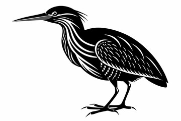 american bittern sihouette black vector