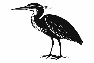 american bittern sihouette black vector