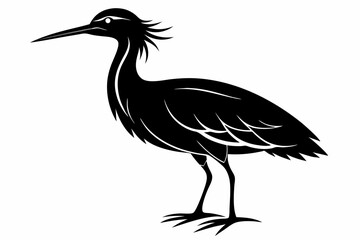 Fototapeta premium american bittern sihouette black vector