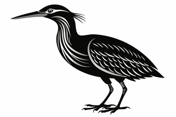 american bittern sihouette black vector