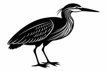 american bittern sihouette black vector