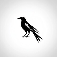 Fototapeta premium Soaring Dove Silhouette