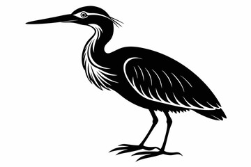american bittern sihouette black vector