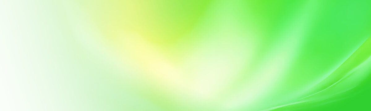 Light green wide banner background. The soft and calming shade of green creates a pleasant atmosphere.