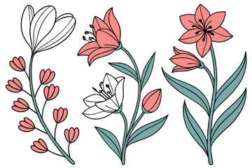 flower vector set