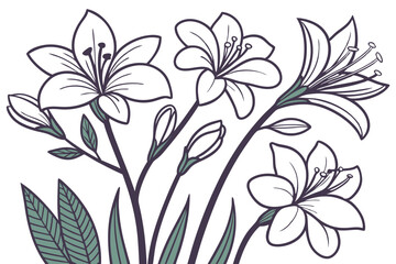flower vector set