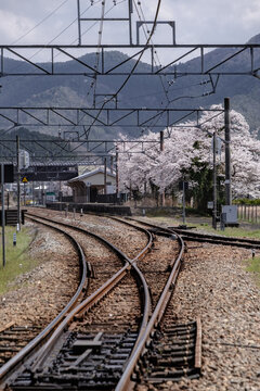 桜の咲くローカル駅
