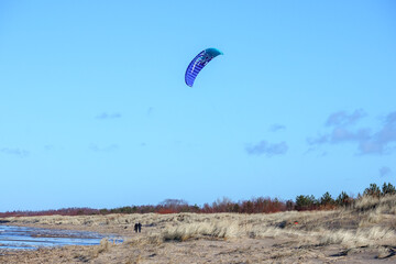 a sandy beach with dry grass, two people in the distance and a blue kite in the sky.