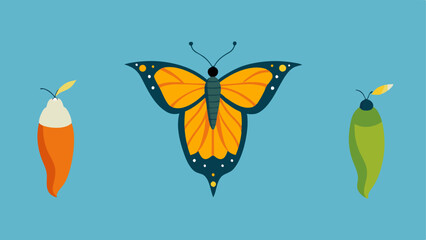 Fototapeta premium Chrysalis to Butterfly An illustration of a chrysalis transforming into a butterfly with the stages of metamorphosis depicted to symbolize growth and transformation after trauma.