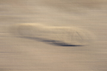 
sandy surface with a dark, blurry footprint.
