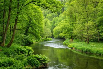 Obraz premium River Winding Through Lush Green Forest During Springtime Generative AI