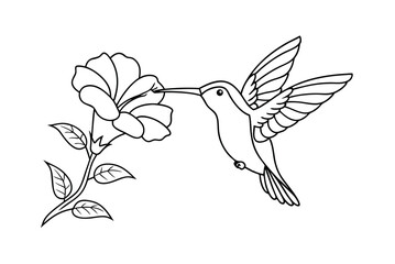 Hummingbird Flying To Flower Outline Illustration Vector Design Graphic