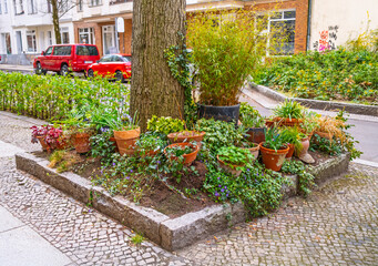Buntes Blumenbeet in einer Gro&szlig;stadt mit Blument&ouml;pfen an einer Baumscheibe / Urban Gardening