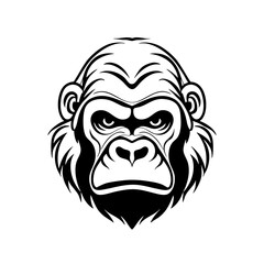 Obraz premium Gorilla