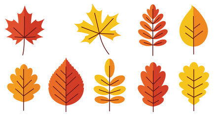 Colorful autumn leaves in flat design style showcasing variety in shapes vector illustration