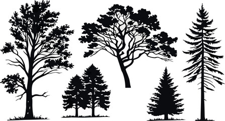 Obraz premium Pine Tree Forest Silhouette – Black and White Evergreen Tree line Vector Illustration