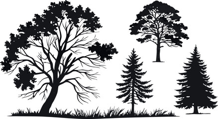 Obraz premium Pine Tree Forest Silhouette – Black and White Evergreen Tree line Vector Illustration