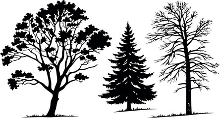 Obraz premium Pine Tree Forest Silhouette – Black and White Evergreen Tree line Vector Illustration