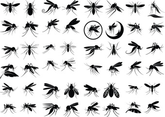Mosquito Silhouette Vector Icon Set