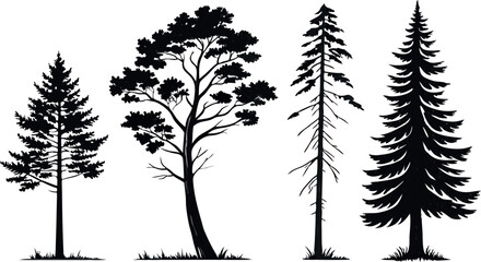 Pine Tree Forest Silhouette &ndash; Black and White Evergreen Tree line Vector Illustration
