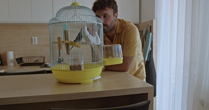 A young man observes his two parakeets in their cage in the kitchen. He looks thoughtful and calm.
