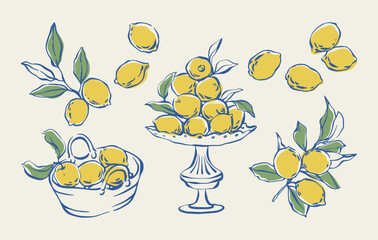 Hand drawn lemon set. Whimsical lemon fruits, branches with leaves, fruit bowl, and basket. Vintage doodle vector in Mediterranean style. Summer illustration for patterns, posters, cards, invitations.