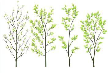 A set of green vector bushes on a white background, ideal for environmental or botanical-themed illustrations.