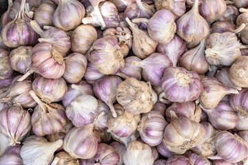 Organic garlic pile texture.  Naturel garlic on market table closeup background.