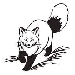 a-fox-running-towards