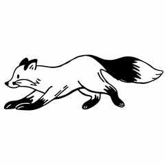 a-fox-running-towards