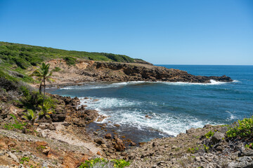 View over coast and cliffs of Presqu'Île de la Caravelle a nature reserve on Martinique