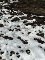 Spring landscape with melting snow. Transitional period between winter and spring, where snow thaws to uncover ground and early vegetation