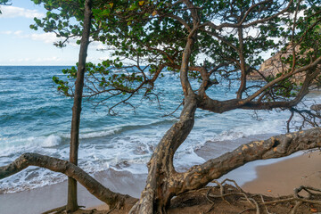 View over Plage de la Corde on Martinique near Tartane