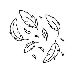 Fototapeta premium bird feathers falling icon, bird feathers falling line art - simple line art of bird feathers falling, perfect for bird feathers falling logos and icons