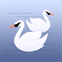 Two swans