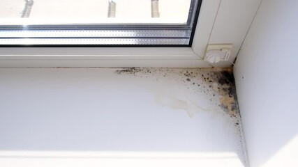 The mold swallowed the slope on the window. Selective focus. - Powered by Adobe