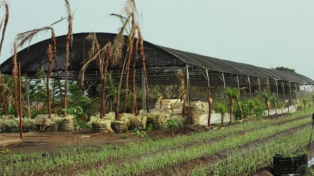 GREENHOUSE ON THE FARM