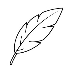 feather icon, feather line art - simple line art of feather, perfect for feather logos and icons