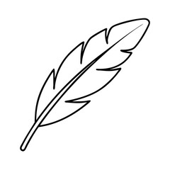 feather icon, feather line art - simple line art of feather, perfect for feather logos and icons