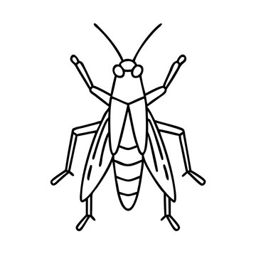 recommend clip art: grasshopper icon, grasshopper line art - simple line art of grasshopper, perfect for grasshopper logos and icons
