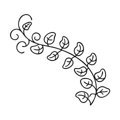 Fototapeta premium green vine icon, green vine line art - simple line art of green vine, perfect for green vine logos and icons