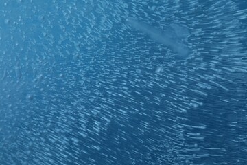 Texture of clear ice as background, closeup