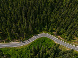 Curve asphalt road on mountain forest summer. Aerial view of the road passing through the mountain and green forest.