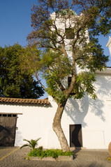 Iglesia del S. XVIII